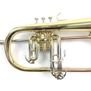 Flugelhorn DASONS FG8611G Laqueado Si Bemol